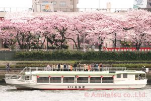 東京の屋形船あみ達さん