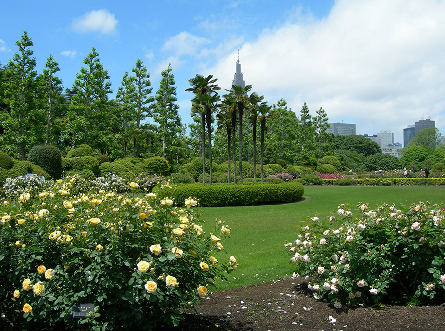東京新宿御苑フランス庭園